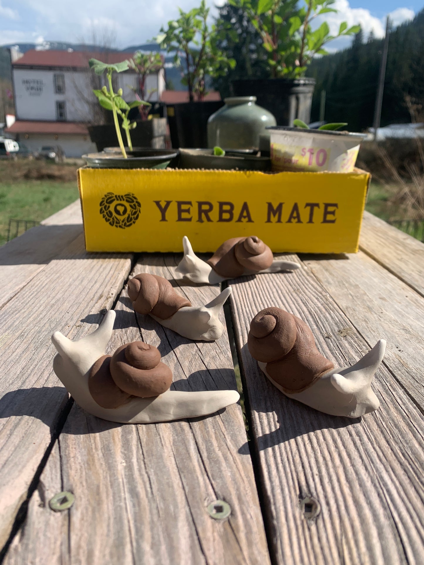 Snails