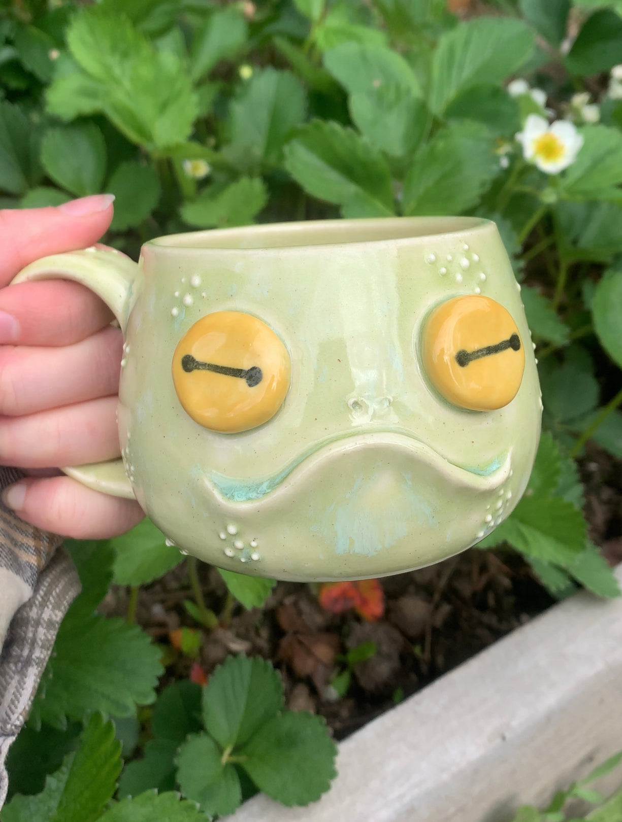 Frog mug
