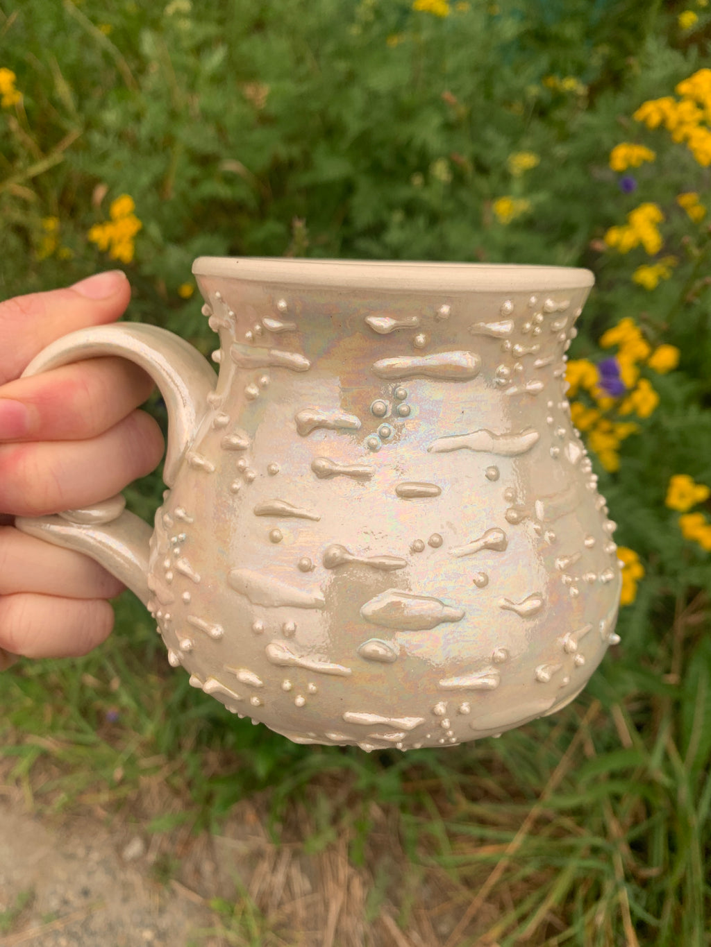 Amanita Mugs