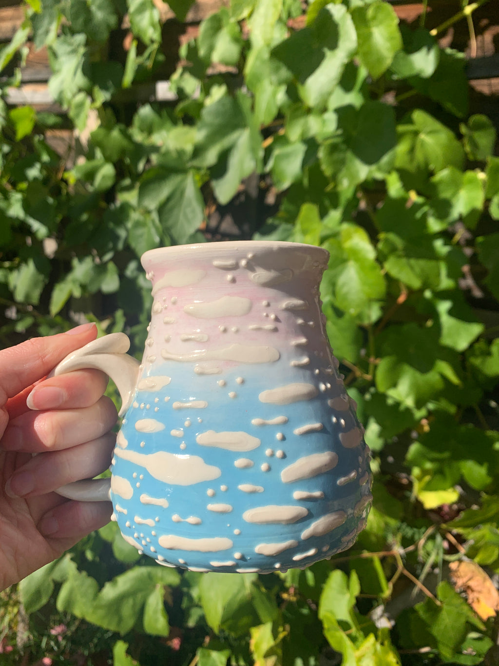 Amanita Mugs