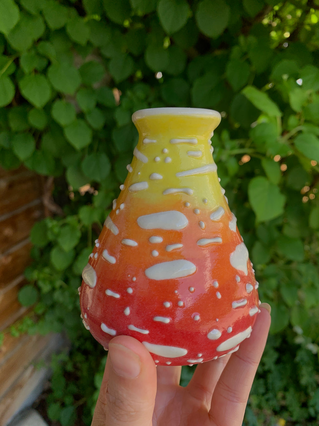Amanita Mugs