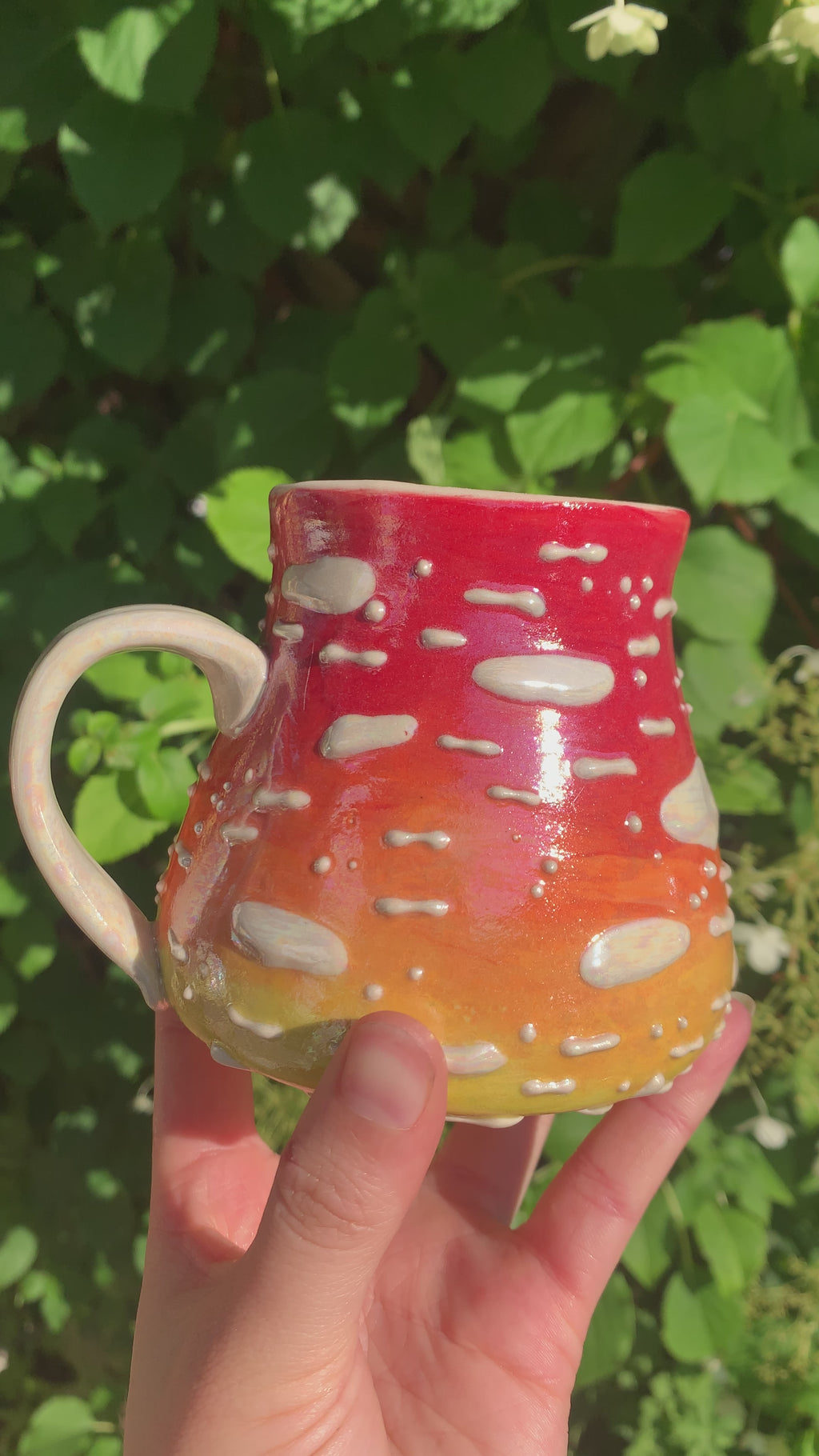 Amanita Mugs